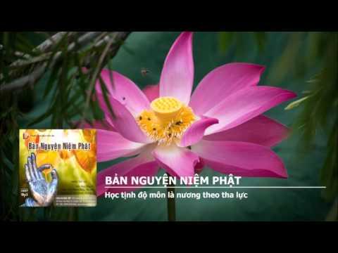 Tôi Đi Tìm Tôi - Tự Do