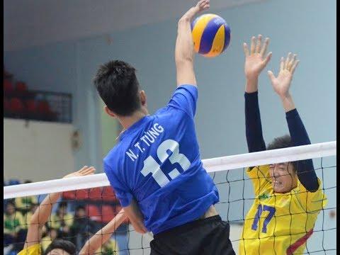 Mùa hạ và những chùm hoa nắng