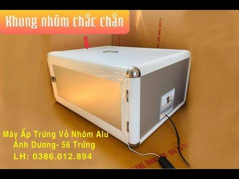 Nhóm Ánh Dương