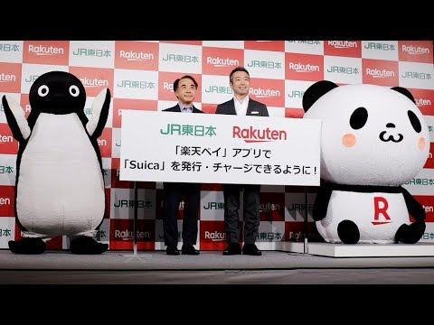 Okaimono Panda
