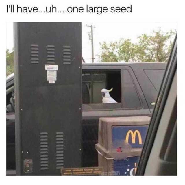 One Large