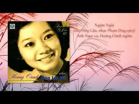 Một đêm tình lỡ