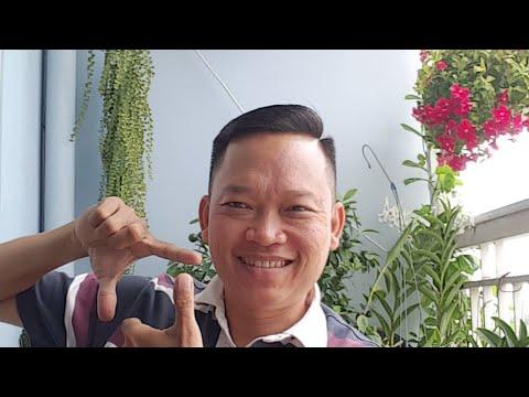 Cơn mưa chiều nay