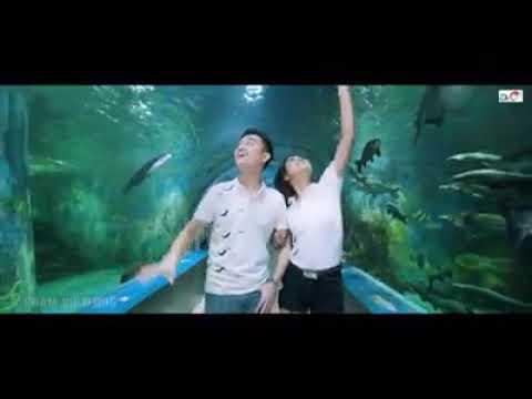 Phạm Việt Xuân Vũ
