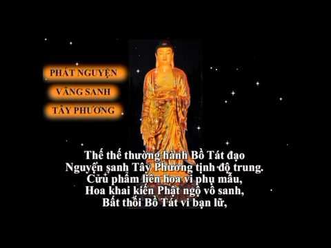 QUÁ NHIỀU (OST Ô Long Thiên Tử)