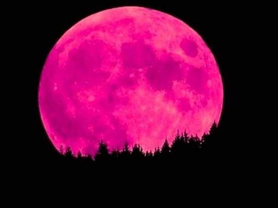 PINKMOON