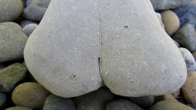 Xin Lỗi Để Làm Gì