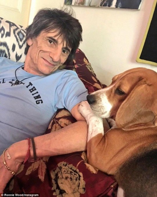 Ronnie Wood