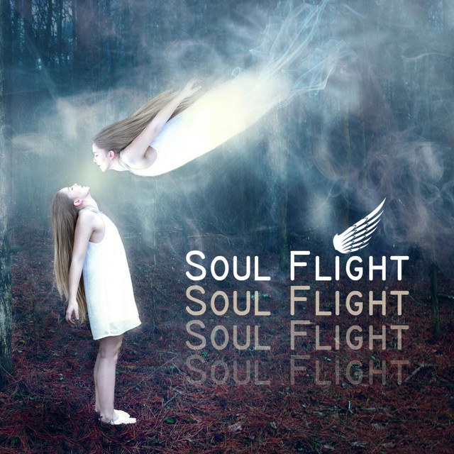 Soul Flight