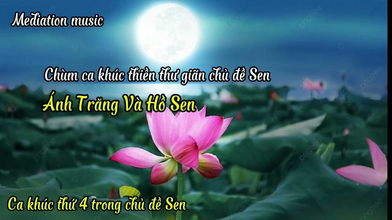Sr. Trâng Hồ Sen