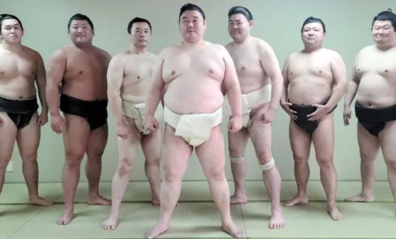Sumo