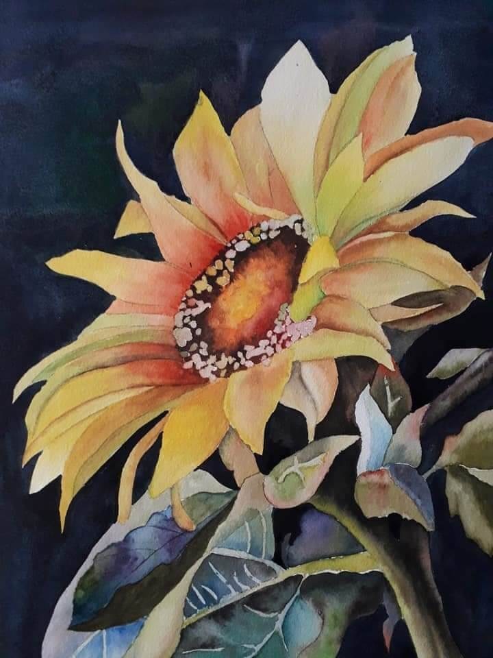 Sunflower