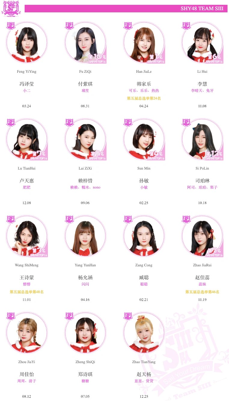Team SIII 