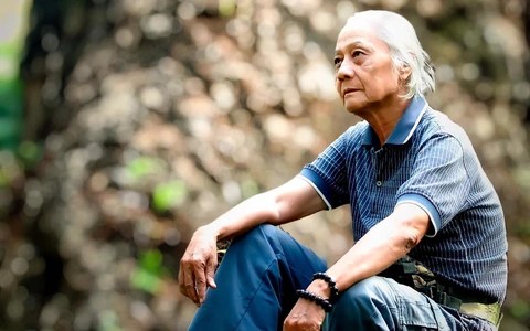 Thái Ngọc Sơn