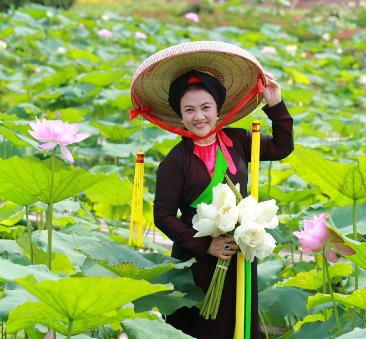 Thanh Hiếu