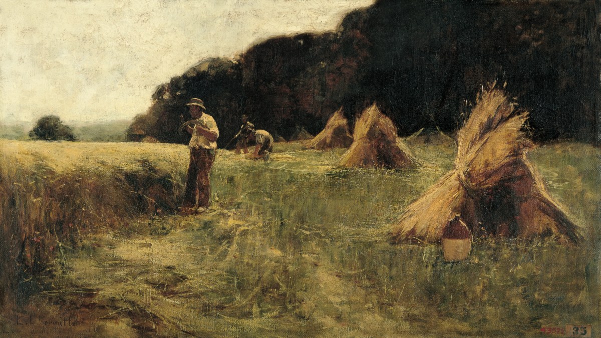  The Harvesters