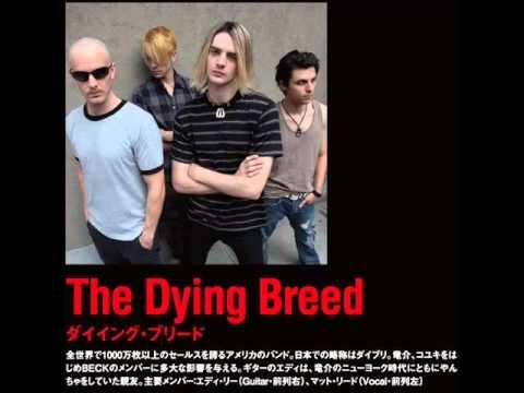 The Dying Breed