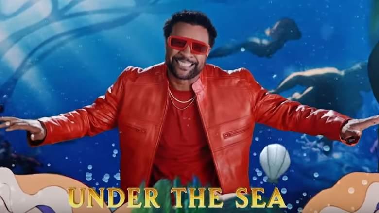The Little Mermaid