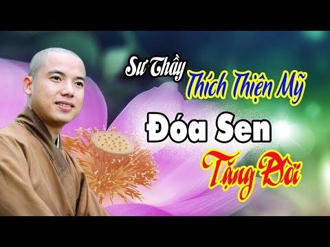 Thích Thiện Mỹ