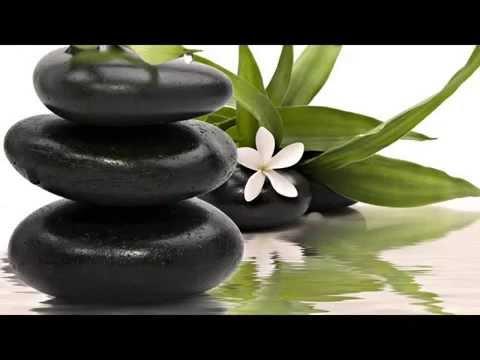 Hoa Điểu Quyển (花鳥卷)