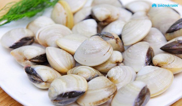 Tí nghêu ngao