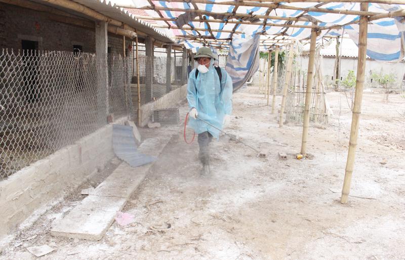 Bóng hạnh phúc (I never meant to hurt you - 無心傷害)