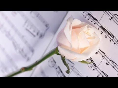Tiểu Vũ Vi