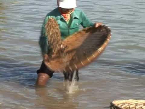 Tôi vẫn tìm em người con gái sông La