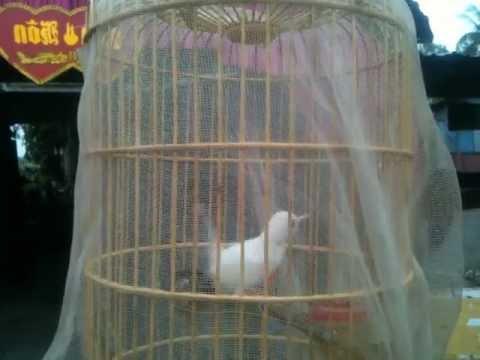 Ngoảnh lại đã cách xa