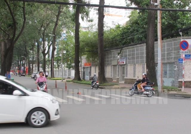 Nụ Hoa Thơm Cho Đời