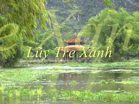 Tre Xanh