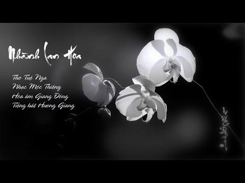 Âm thầm mưa