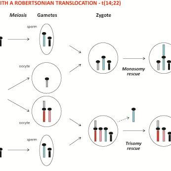 Thương Cái Xương Không Còn 