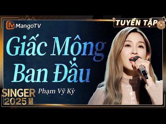 Vy Kỳ
