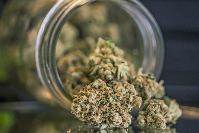 Weed D