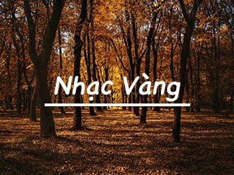 Nhạc Vàng Tuyển Chọn