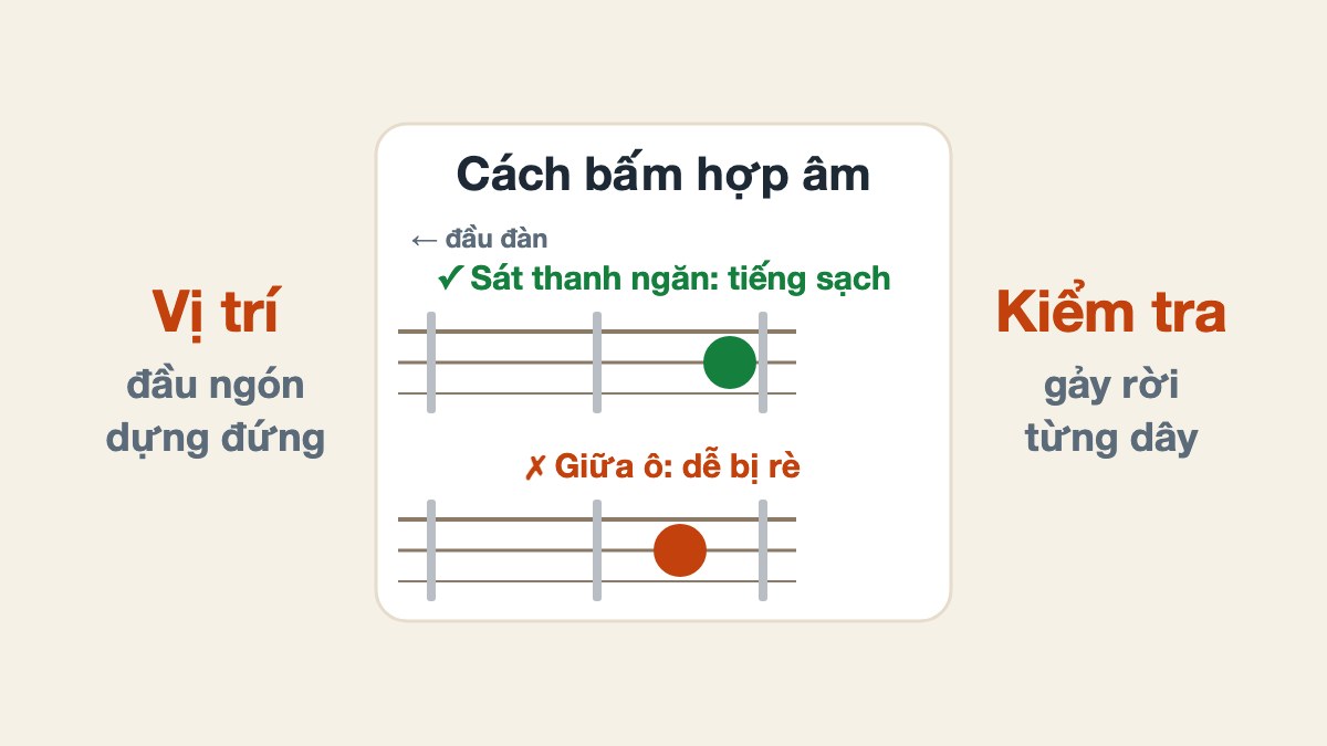 Cách bấm hợp âm Guitar đúng cho người mới