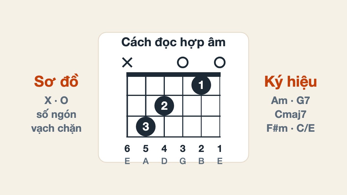 Cách đọc hợp âm Guitar: sơ đồ và ký hiệu