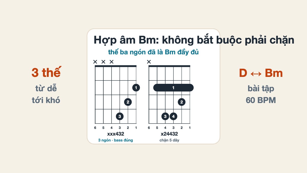 Hợp âm Bm Guitar: thế bấm và lỗi thường gặp