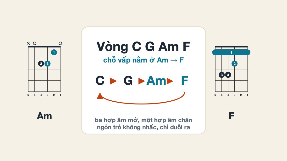 Vòng C G Am F: cách bấm và luyện đệm