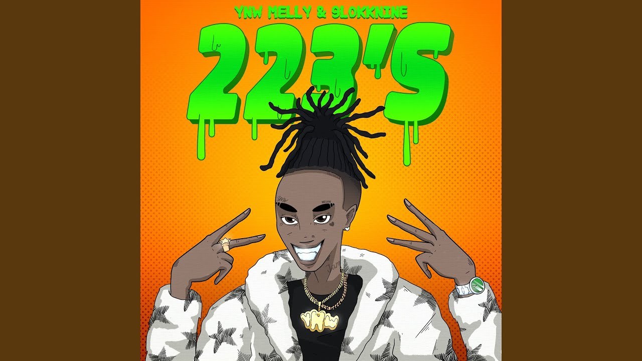 223s