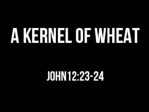 A Kernel Of Wheat