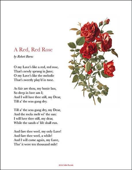 A Red, Red Rose (1794) - Robert Burns