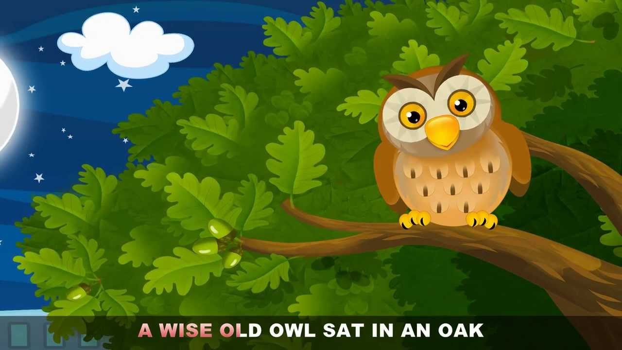 A Wise Old Owl