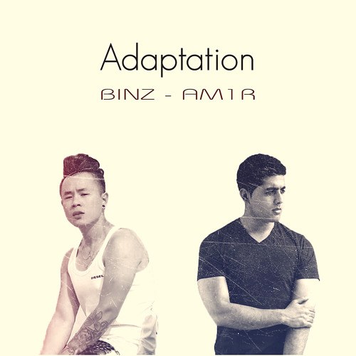 Adaptation