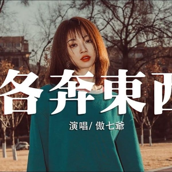 是想你的声音啊 (Âm Thanh Của Nỗi Nhớ Anh)
