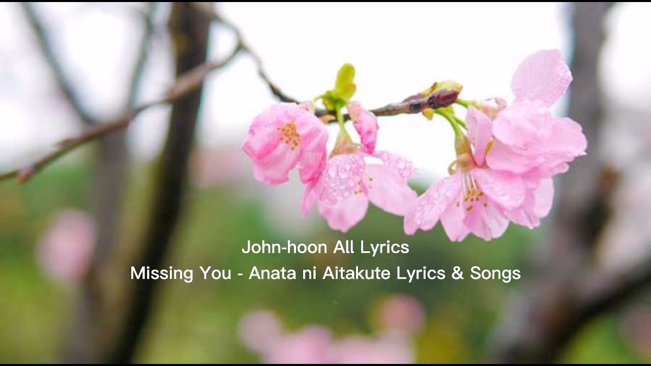 Anata Ni Aitakute (MISSING YOU)
