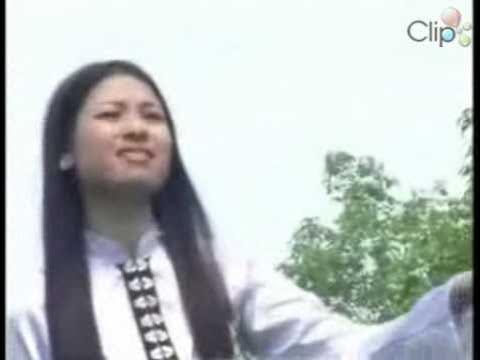 Anh Có Vào Nghĩa Lộ Với Em Không