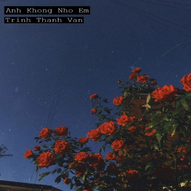 Anh Không Nhớ Em