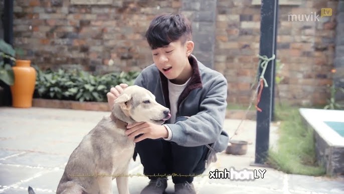Anh Yêu Tất Cả Các Em 